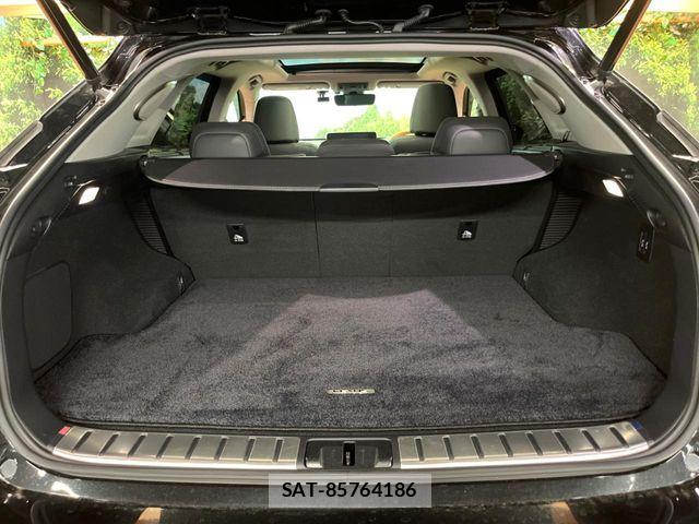 Lexus RX 2020-02 8685871-12