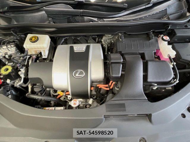 Lexus RX 2018-05 8796514-19