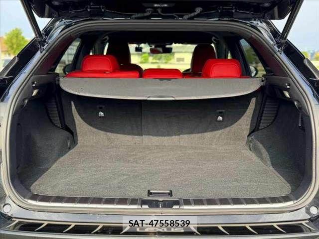 Lexus RX 2020-03 8830034-19