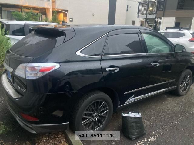 Lexus RX 2009-06 8830036-3