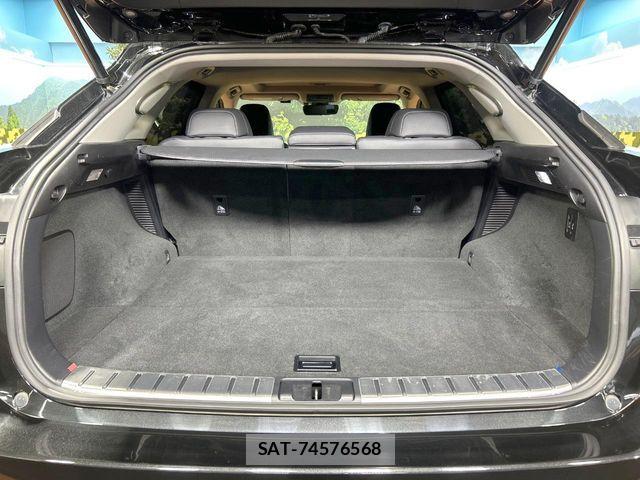 Lexus RX 2016-06 8883861-9