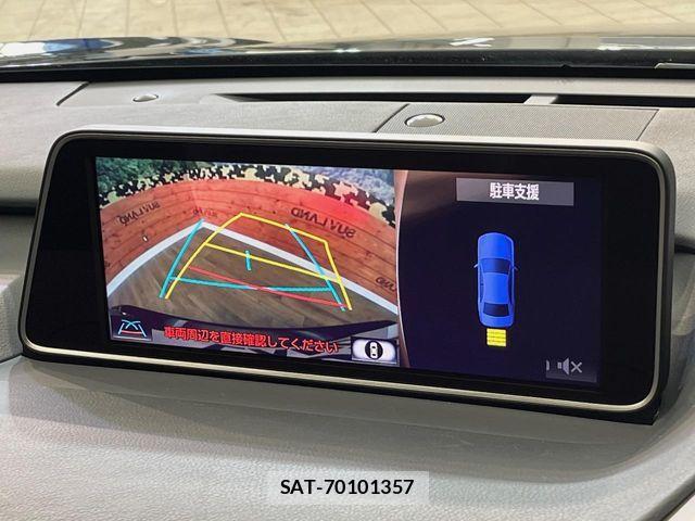 Lexus RX 2016-03 8883862-4