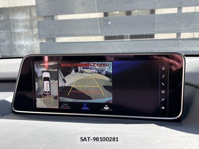 Lexus RX 2018-02 769309-24