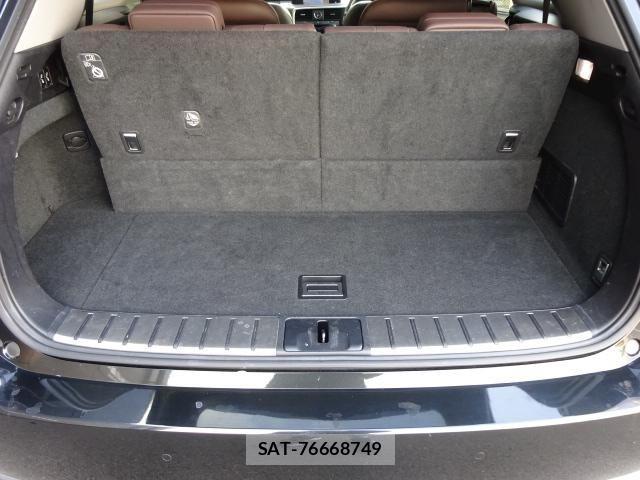 Lexus RX 2019-10 3674973-19
