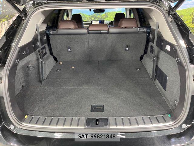 Lexus RX 2018-06 3674978-10