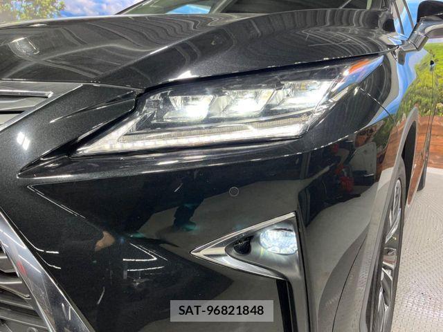 Lexus RX 2018-06 3674978-12