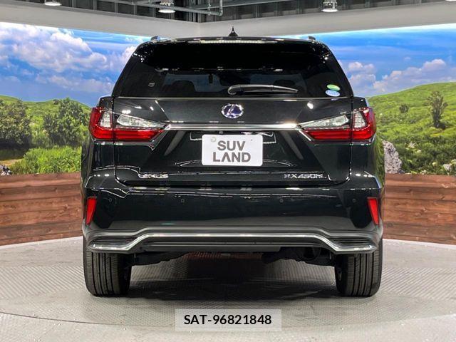 Lexus RX 2018-06 3674978-15