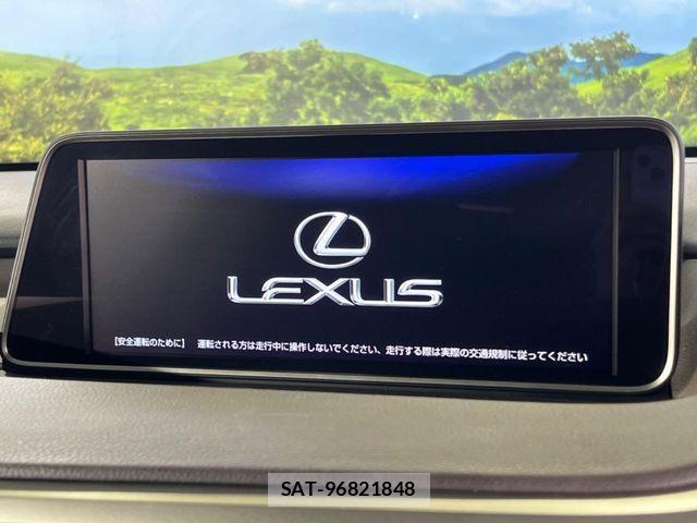 Lexus RX 2018-06 3674978-3