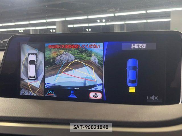 Lexus RX 2018-06 3674978-4