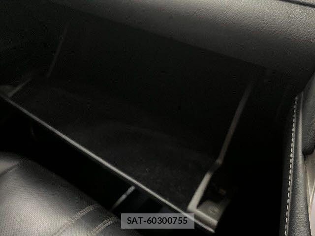 Lexus RX 2020-05 6011965-15