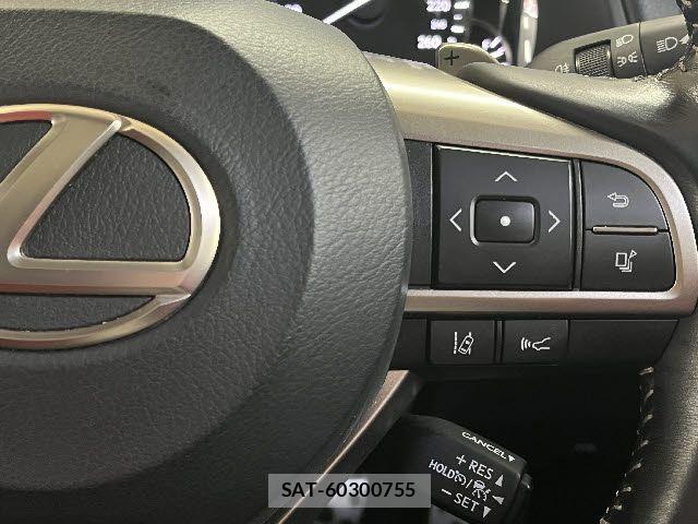 Lexus RX 2020-05 6011965-17