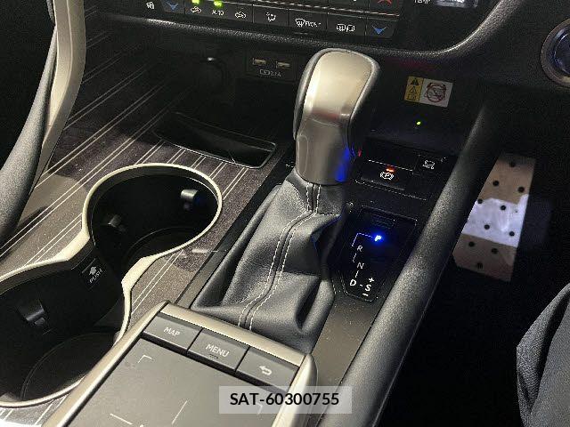 Lexus RX 2020-05 6011965-19