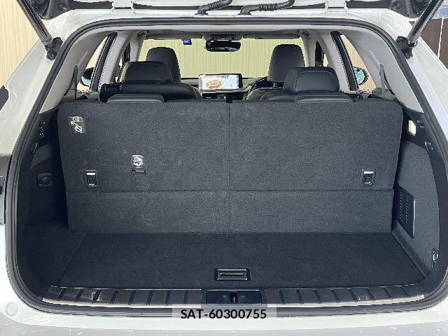 Lexus RX 2020-05 6011965-20