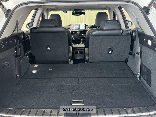 Lexus RX 2020-05 6011965-21