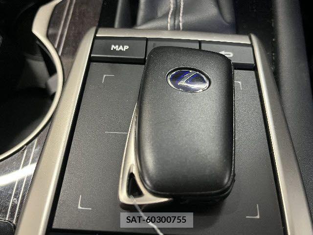Lexus RX 2020-05 6011965-25