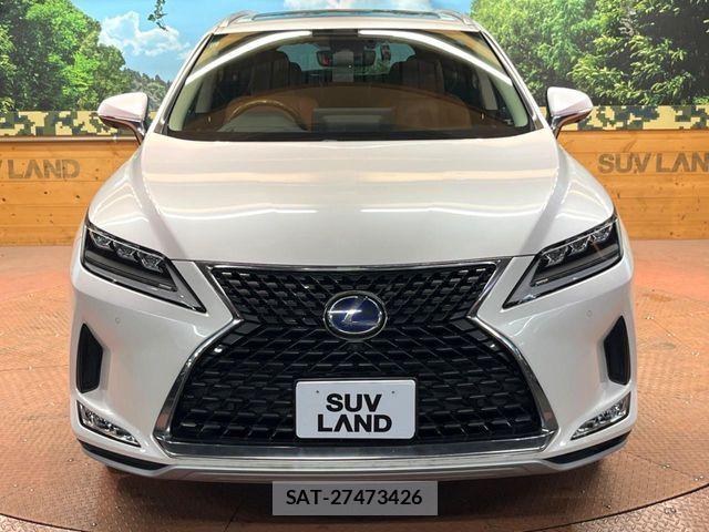 Lexus RX 2019-11 7328099-15
