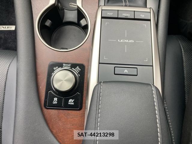Lexus RX 2019-12 7358579-25