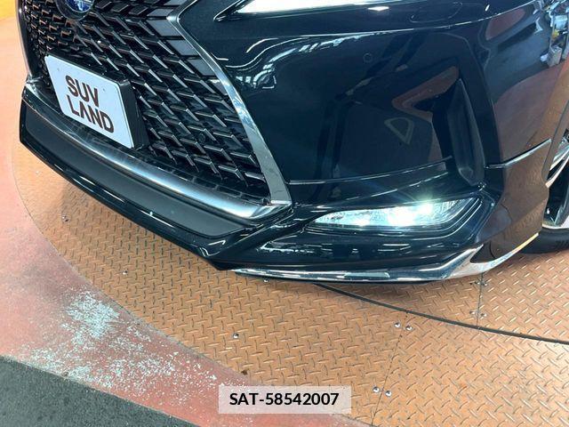 Lexus RX 2020-06 7725209-2