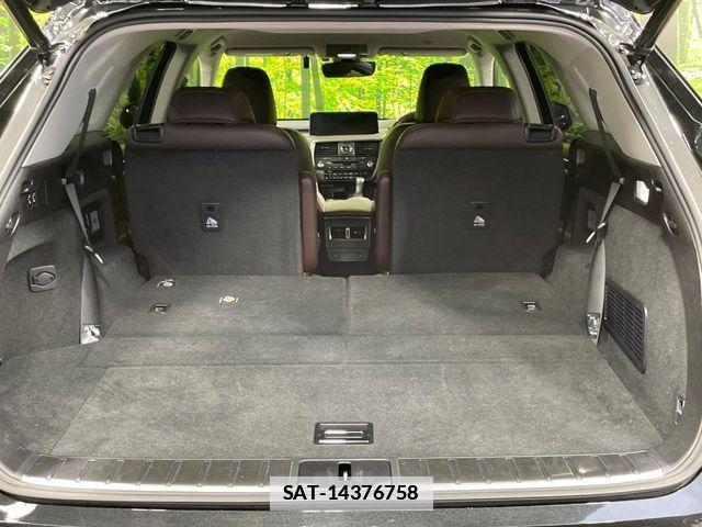 Lexus RX 2019-12 7725211-10