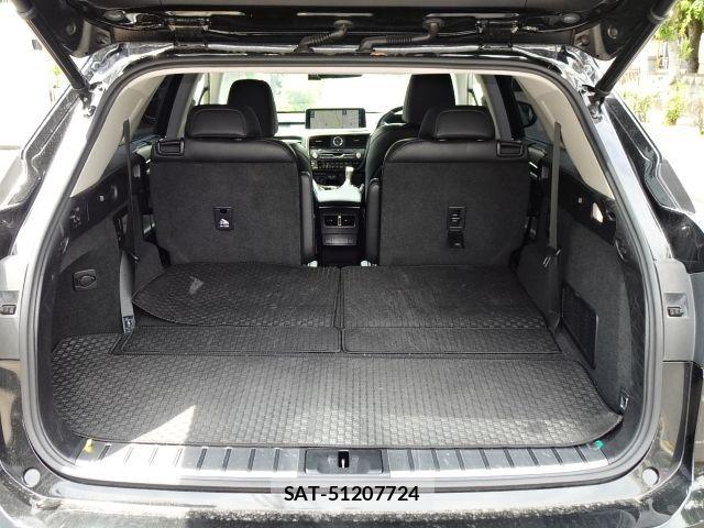 Lexus RX 2020-01 8036496-4
