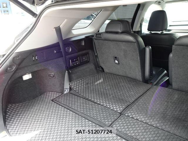 Lexus RX 2020-01 8036496-5