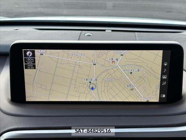 Lexus RX 2019-09 8100217-2