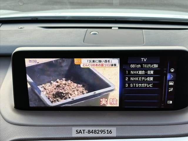 Lexus RX 2019-09 8100217-4