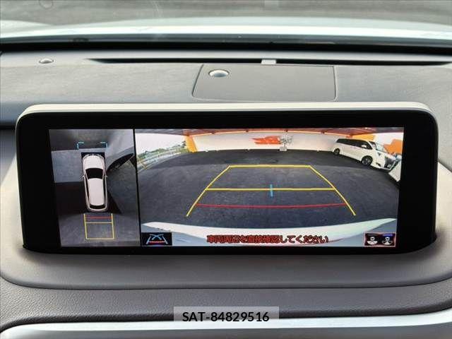 Lexus RX 2019-09 8100217-5
