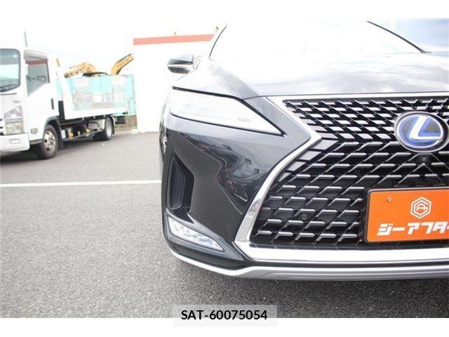 Lexus RX 2020-11 8230655-12