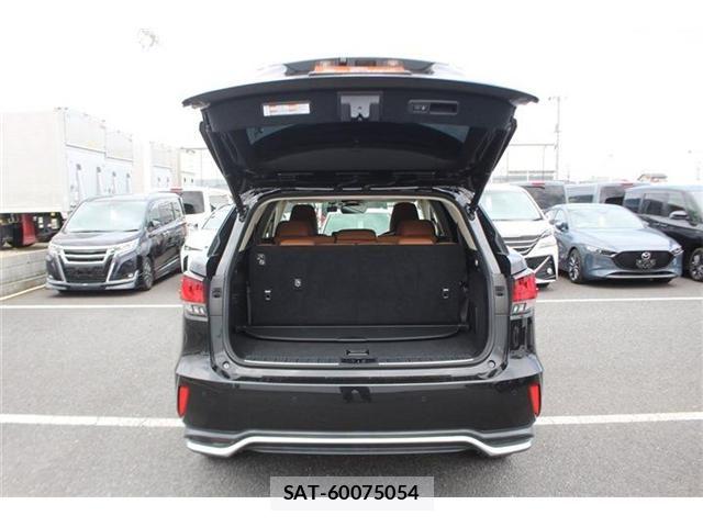 Lexus RX 2020-11 8230655-25