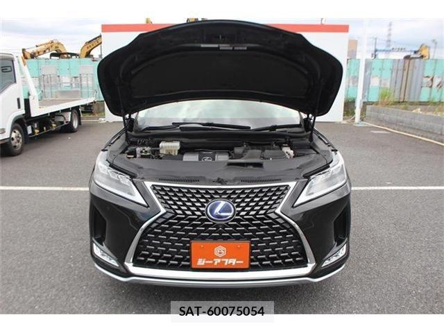 Lexus RX 2020-11 8230655-28