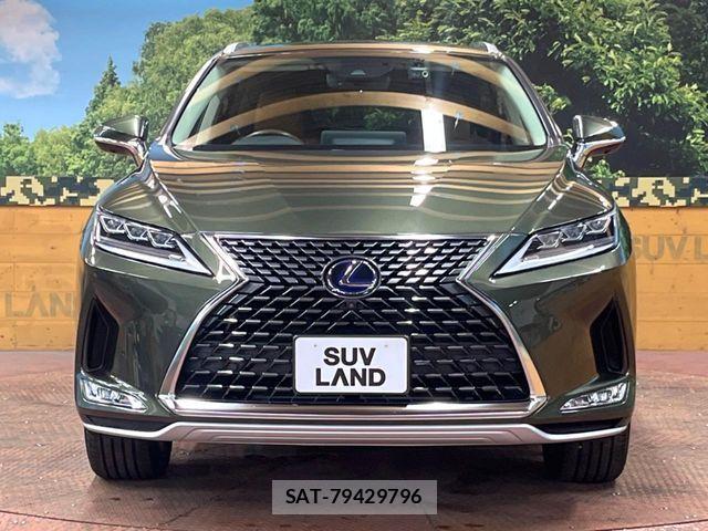 Lexus RX 2021-09 8245769-13