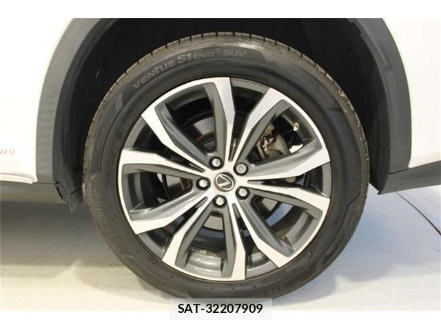Lexus RX 2018-07 8743520-24