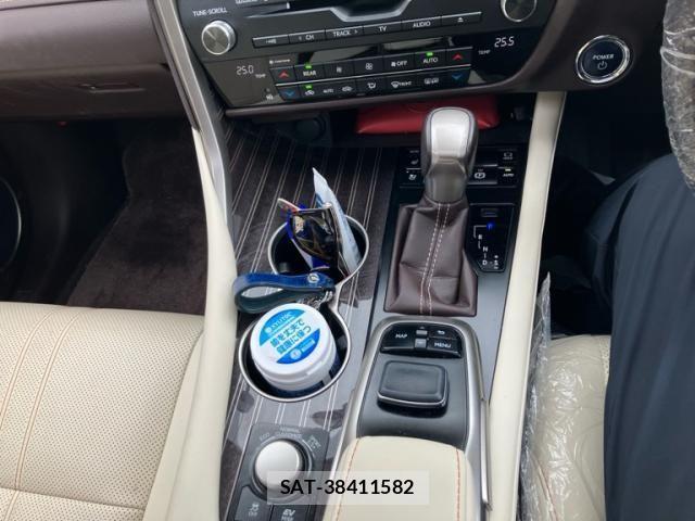 Lexus RX 2018-02 8796518-22