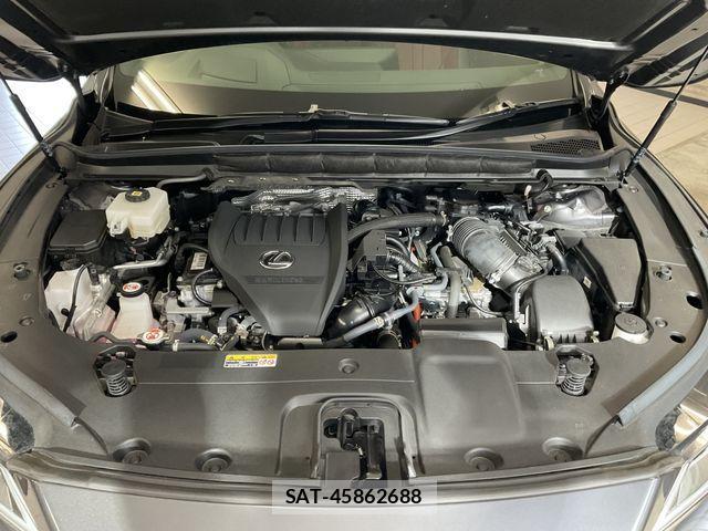 Lexus RX 2024-09 1826299-29
