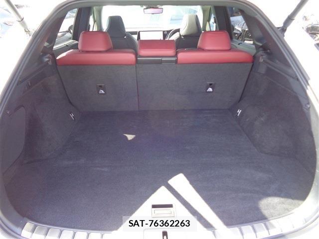 Lexus RX 2023-02 6272161-17