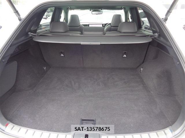 Lexus RX 2023-07 6499679-17