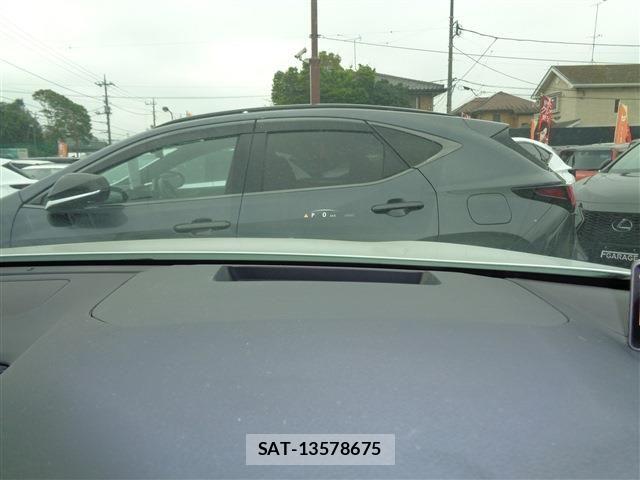 Lexus RX 2023-07 6499679-23