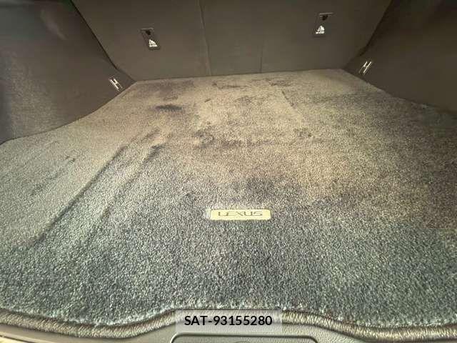 Lexus RX 2024-06 6716568-6