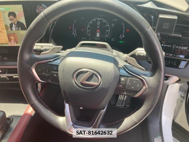Lexus RX 2023-04 6995290-19