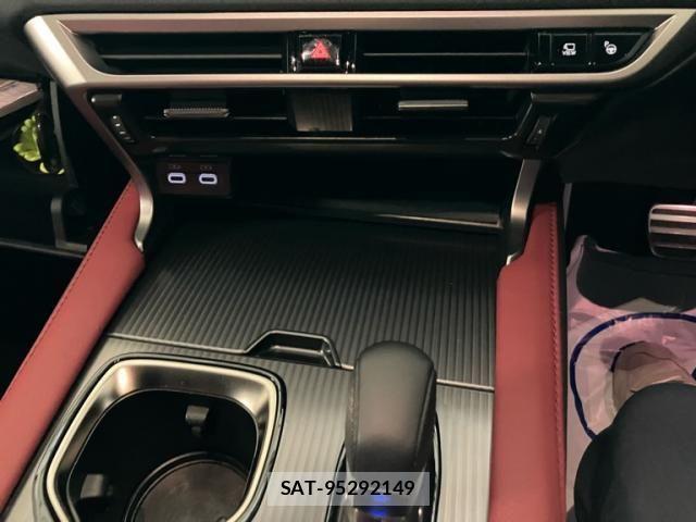 Lexus RX 2024-03 7059331-28
