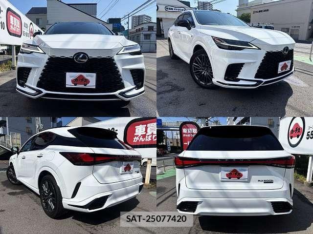 Lexus RX 2025-04 7059327-8