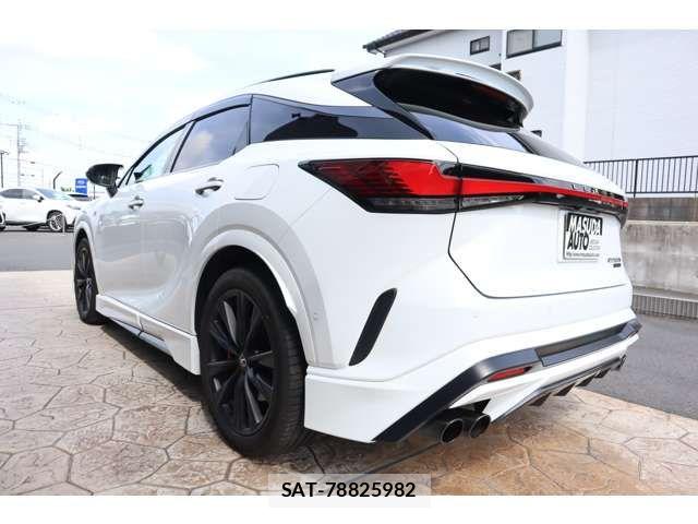 Lexus RX 2023-09 7217793-4