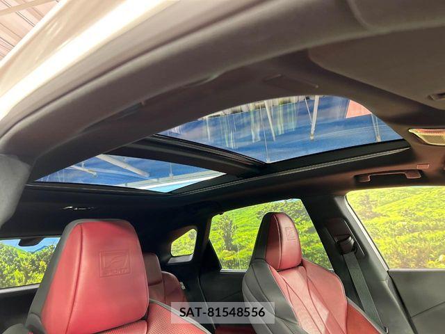 Lexus RX 2023-09 7217795-2