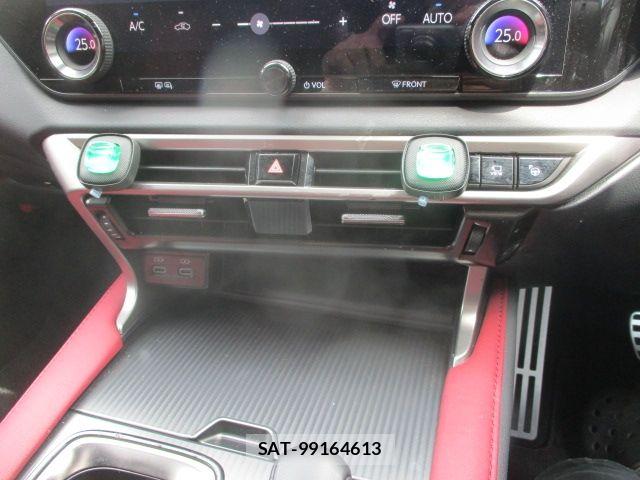 Lexus RX 2024-05 7221174-23