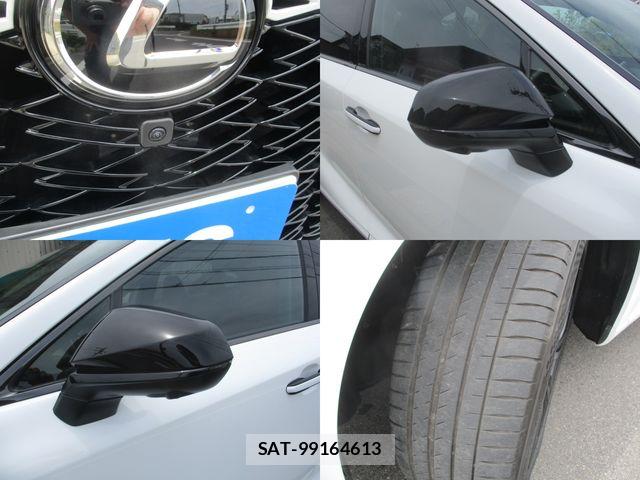 Lexus RX 2024-05 7221174-6