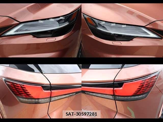 Lexus RX 2025-05 7221175-28