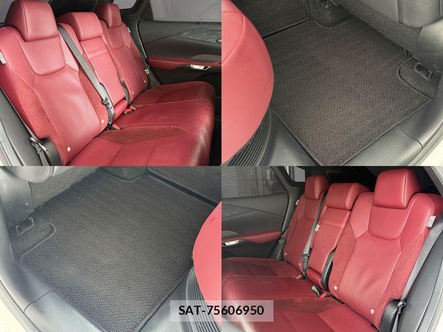Lexus RX 2023-07 7251381-9