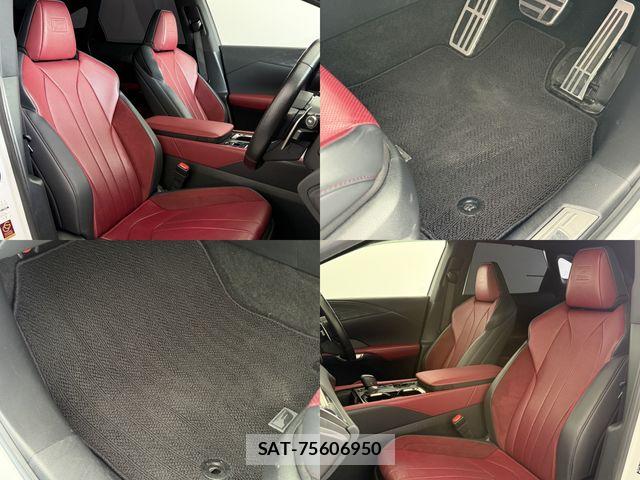 Lexus RX 2023-07 7251381-12