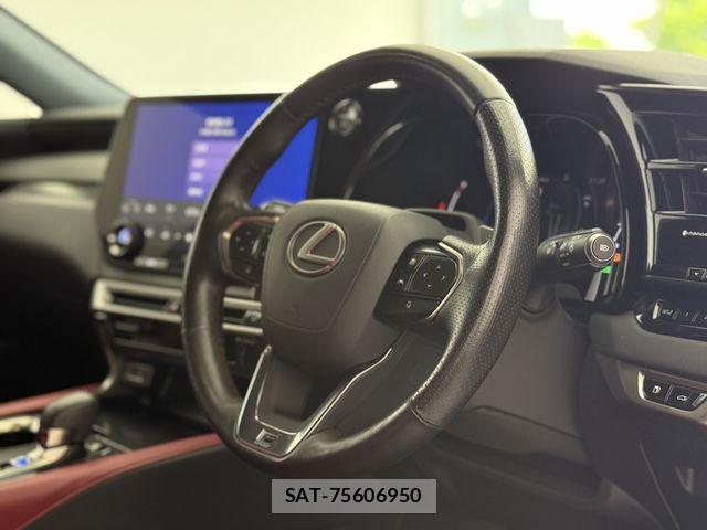 Lexus RX 2023-07 7251381-16